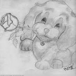 Meet your Posher, Gasper